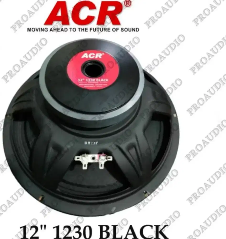 Professional loud speaker
