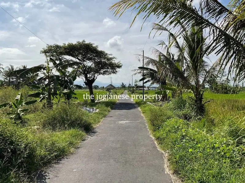 tanah murah di timur pasar jangkang