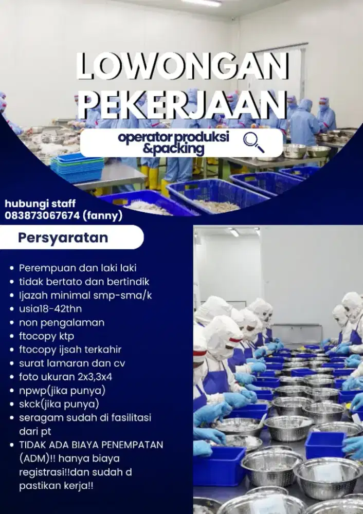 Lowongan Pekerjaan