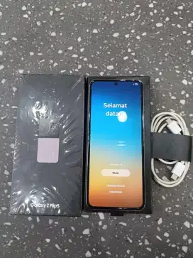 Samsung zflip 5 minus LCD