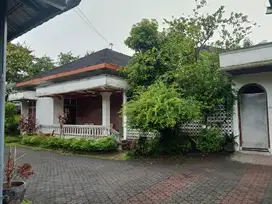 RUMAH STRATEGIS PREMIUM LUAS DI JL UTAMA TIMOHO UMBULHARJO KOTA YOGYA