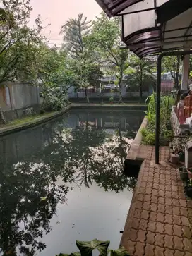 Dijual Rumah murah 500 m2 ada kolam ikan loji dekat RSUD kota Bogor
