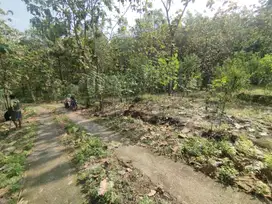 Tanah tegalan pinggir sungai karangmojo