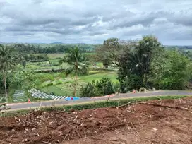 Tanah Murah View Mewah di Kalibawang Kulon Progo