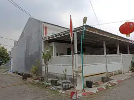 TURUN HARGA LAGI, SWAN MENGANTI MAS..NEGOOO SAMPAI DEAL