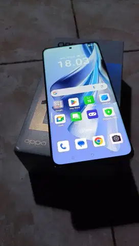 Oppo Reno 10 5g 8+8/256