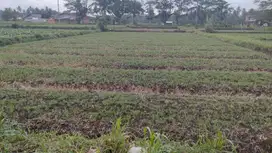 Dijual Murah Tanah Buton Wagir Malang BU