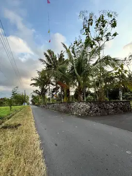 dijual tanah di belakang kelurahan candi binangun