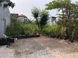 ‼️JUAL MURAH‼️COCOK DIKAVLING TANAH BUNCITAN SEDATI SIDOARJO