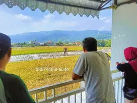 SKYPARK RESIDENCE, RUMAH VILLA DI LAWANG VIEW ARJUNA