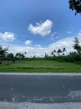 TANAH KAVLING LUAS MURAB DI PAKIS MALANG