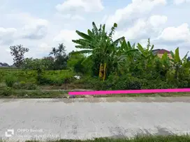 TANAH STRATEGIS DEKAT KAMPUS SANATA DAERMA,UPN & STADION MAGUWOHARJO