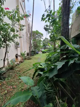 PALING MURAH DI CIPETE UTARA TANAH SIAP BANGUN
