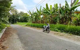 Tanah 530m lebar 30m turi sleman