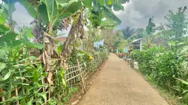 Dijual Murah Tanah Datar ditengah Perkampungan Bojong Purwakarta