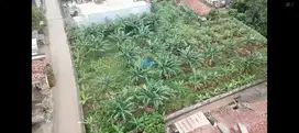 Dijual Tanah Di Jalan Raya Maloko, Cisauk, Tangerang