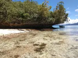 For Rent Land Raja Ampat Papua Barat  1 Hektare