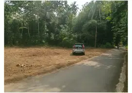 150 Juta Tanah Di Jalan Magelang Dekat Pasar Sleman