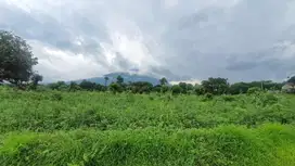 Dijual sampe Deal Tanah karang asem tulamben bali
