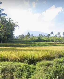 Tanah Murah di Pakem View Gunung Merapi