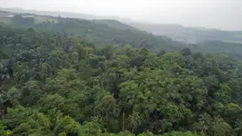 Dijual Murah Tanah 3,7 ha Kebun Durian Cengkeh Kiarapedes Purwakarta