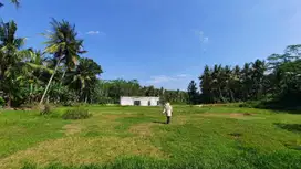 Tanah Nanggulan Kulon Progo; Siap AJB