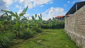 Tanah Jual 1 are (2 KAVLING) NYITDAH TABANAN 15 mnt ke LUNA BEACH CLUB