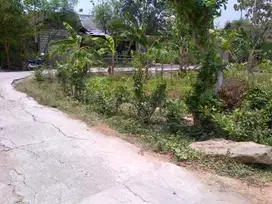 DIJUAL TANAH KAVLING LELANG  KEC KAPAS BOJONEGORO