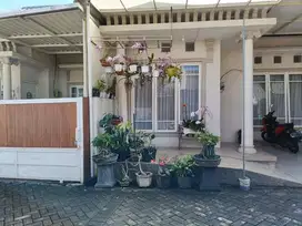 RUMAH CANTIK DI PERUMAHAN PESONA ARJUNA, SINGOSARI, MALANG