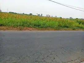 JUAL TANAH HRGA D BAWAH PASAR COCOK  GUDANG ,PABRIK DLL