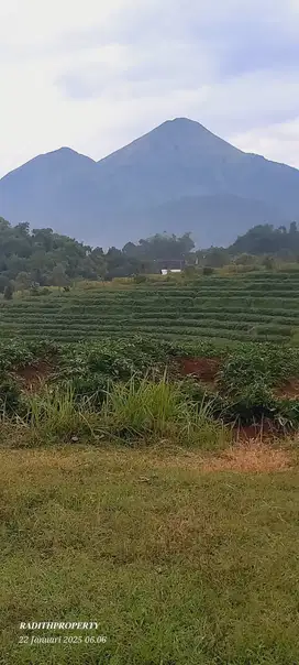 JUAL TANAH AREA WISATA PACET VIEW SUN RICE 2 GUNUNG PENANGGUNGAN