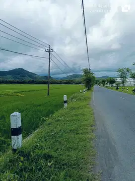 Tanah Dijual view sawah dan pegunungan Menoreh dekat Bandara YIA