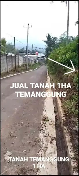 DIJUAL TANAH 1 HA TEMANGGUNG DEKAT PANGKALAN LPG