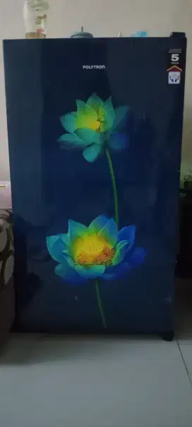 Kulkas polytron 1 pintu 150 liter