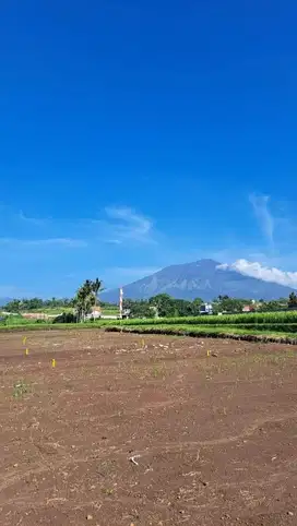 TANAH SIAP BANGUN, PEMANDANGAN GUNUNG ARJUNA,PANDERMAN,SEJUK ,ALAMI