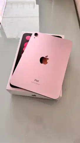 Ipad Mini 6 Pink