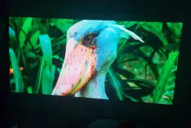 Sony mini proyektor MP-CL1 seukuran hp ( langka )