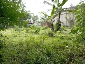 Tanah dijual mrebet purbalingga jawa tengah