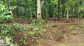 jual tanah pekarangan murah purbalingga kota