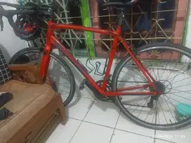 Polygon s2 size m