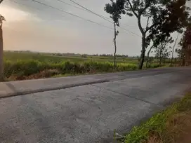 lahan industri murah mojokerto