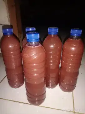 Pupuk organik cair PSB