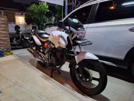 Jual Tiger Keluaran Terakhir