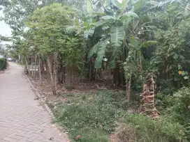 Di jual Tanah Kavling Murah di petaunan