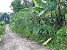Tanah Asri Cocok Dibangun Villa/Investasi Karangpandan