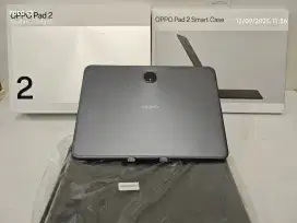 Oppo Pad 2 8/256 Gb Likenew 99% Baru 3 Bulan fullset bisa TT/BT yah