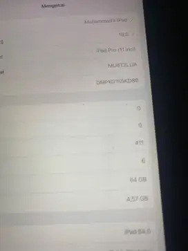 Ipad pro 11 inch 2018 bisa semua kartu