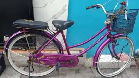 Dijual sepeda Phoenix