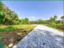 7 Menit Bandara YIA, Tanah Jogja Murah Cocok Untuk Rumah