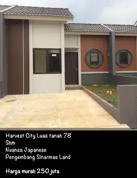 HARVEST CITY CILEUNGSI